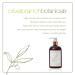 Gilchrist & Soames Olive Branch Hand and Body Lotion 12oz - Lightly Moisturizing Paraben-Free & Sulfate-Free for All Skin Types - International Shipping Available - Buy Online on GoSupps.com