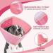 Shop Adjustable Protective Dog Collar - Halskruff Neck Brace for Bite & Leak Prevention - Pink (Small) - Buy Online on GoSupps.com