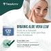 TreeActiv Retinol Cream for Face & Body with Hyaluronic Acid | Anti-Aging Moisturizer for Wrinkles, Fine Lines, & Blemishes | Skin Tightening & Neck Firming | 60-Day Supply for Men & Women - Buy Online on GoSupps.com