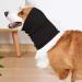 1 Pcs Dog Ear Protectors Dog Snood Pet Cats Dog Neck And Ear Warmer Hood Pet Dog Earmuff For Wearing In Bathing Grooming Waterproof Reducing Noise Helps Calm(Black M) - Buy Online on GoSupps.com