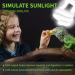 Caldarax 10.0 UVA UVB Bulb - 13W Compact Light for Desert Reptiles | E27 Tortoise Reptile Light for Lizard, Turtle, Snake, Chameleon, Bearded Dragon - Buy Online on GoSupps.com