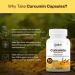 Oribite Curcumin with Black Pepper High Absorption Turmeric Root Extract Supplement for Joint Heart & Immune Support Natural Antioxidant & Inflammation Response Support 60 Capsules Non-GMO (4) - Buy Online on GoSupps.com
