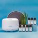 Four Thieves Oil - Natural Aromatherapy for Cold & Sore Throat | Optima Natura 20ml Essential Fragrance Oil - Buy Online on GoSupps.com