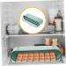 Healeved 1 Pc Slide Egg Collection Food Tray Egg Storage Rack Fridge Refrigerator Food Storage Case Drinks Green 28.5X15CM - Buy Online on GoSupps.com