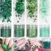 St. Patrick's Day Holographic Green Chunky Glitter 10ml - 8 Boxes | Iridescent Flakes Hexagon Tips | Nail Art, Face, Body & Hair Glitter - Buy Online on GoSupps.com