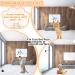 Hysagtek Cat Feather Toys Set - Interactive Kitten Toys Kit with 6 Feather Refills, 2 Retractable Teaser Wands, and Super Suction Cup Base - 9Pcs - Buy Online on GoSupps.com