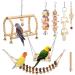 8 PC Colorful Bird Toys for Parrots Budgies Conures & Love Birds - Cage Swing & Hanging Bell - Buy Online on GoSupps.com