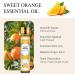 Aoruilia 10ml Sweet Orange Essential Oil - 100% Pure Natural Sweet Orange Oil Aromatherapy Essential Oils for Diffuser for Home Cleaning Perfume Massage Soaps & Candles Making Orange 10 ml (Pack of 1) - Buy Online on GoSupps.com