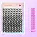 Rxuaw DIY Eyelash Extension Kit Lash Clusters 12 Rows Cluster Lashes with Glue and Tweezer for Lash Extension Beginners One - Buy Online on GoSupps.com