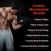 Creatine Monohydrate Gummies 5000mg - 60 Count for Muscle Strength & Energy Boost | Buy Now for Men & Women - International Shipping Available - Buy Online on GoSupps.com