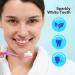 Eco-Friendly Toothpaste Tablets (32 Count) - Fluoride-Free Non-Hydroxyapatite Bite Toothpaste for Eco-Conscious Travelers | Chewable Teeth Cleaning Solution - Buy Online on GoSupps.com