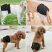 Buy Reusable Dog Diapers (3 Pack) for Bitches - Eco-Friendly Machine Washable - Best for Female Dogs - Buy Online on GoSupps.com