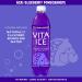 Vita Ice Acai Blueberry Pomegranate 12 Pack 17 oz. Bottles - Refreshing Hydration and Antioxidants - Buy Online on GoSupps.com