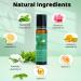 Organic Peppermint Essential Oil Roll-On 2 Pack | Fresh Minty Fragrance | Natural Rosemary & Geranium Oils | 10ml Each | International Shipping - Buy Online on GoSupps.com