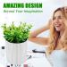 YCROJBK Denture Bath - Eucalyptus Potted Plants Design, Denture Case with Strainer for Retainer & Mouth Guard - Home Decoration - Buy Online on GoSupps.com