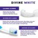 Divine White Dual-Action Stain Removal Aligner & Retainer Cleaner and Teeth Whitening Foam - Hydrogen Peroxide - For Invisalign, ClearCorrect, SmileDirectClub, Candid, Byte - Oral Care - 1.69 Fl Oz - Buy Online on GoSupps.com
