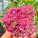 1pc 40-60g rough red corundum and green color with many sparkles - Buy Online on GoSupps.com