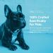 Arthramine Glucosamine Supplement for SmallMedium Dogs - 120 Chewable Tablets - Buy Online on GoSupps.com