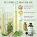 EVOKE OCCU Tea Tree Essential Oil and Thyme Essential Oil - 4 Fl Oz - Buy Online on GoSupps.com