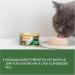 Gimcat Superfood Shinycat Duo Tuna & Zucchini - Sugar-Free Cat Food (24 x 70g) for Adult Cats - Premium International Shipping - Buy Online on GoSupps.com