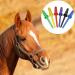 HIXNUG 3 Pieces Plastic Hoof Oil Brush Brights Horse Hoof Oil Brush with Cap Hoof Dressing Brush Horse Care Brush Random Color - Buy Online on GoSupps.com