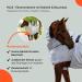 RL24 Eczema Ceiling for Horses - Insect-Proof with Neck & Abdomen Protection | Fine-Meshed Double Front Closure | Silver Gray 145cm - Buy Online on GoSupps.com