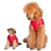 Selente Paw Parade Waterproof Dog Coat | Fleece Lined Rain Jacket for Small & Medium Dogs | Winter Coat Made in EU - Raspberry Size 0 - Buy Online on GoSupps.com