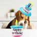 Ushang Pet Extral Large Dog Birthday Cake Hat & Birthday Bandana Scarfs Set Blue  Dog Happy Birthday Hat with Colorful Candles  Large Dog Birthday Party Supplies Decorations Birthday Hat & Bandana - Buy Online on GoSupps.com