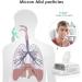 Patin Portable Nebulizer Machine for Adults & Kids - Full Accessory Nebulizers Steam Inhaler - Tiny Mist Compressor - Includes 3 Sizes Mask - 0707QZJ12 - Buy Online on GoSupps.com