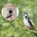 LumenTY 4 Pcs Bird Nest Box Metal Protection Plate Nest Box Cover Plate 32 mm Accessories for Nesting Boxes - Buy Online on GoSupps.com