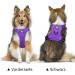 POPOTET Soft Breathable Mesh Dog Harness - Adjustable Double Padded Vest - Suffocation-Free - Violet Medium (1 Pack) - Buy Online on GoSupps.com