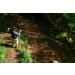 InZone Disc Golf Kwik-Stik XXL Disc Retriever - Telescoping Pole for Easy Disc Retrieval in Streams, Lakes, Trees, Rooftops & More - Buy Online on GoSupps.com