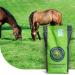 Horse: Low Fructan mix | 5 kg per 500 m² | Low fructose content | High tramp tolerance | Very good repair power