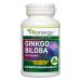 Vitanergy Ginkgo Biloba Enhanced Bioavailability for Cognitive Function & Peripheral Circulation Support 60mg 60 Capsules - Canadian Made