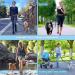 Boxwizard Dog Jogging Lead with Belly Strap Dog Lead for Small Dog Lead Zip Pocket Reflective Running Lead Belt Bag Outdoor Jogging Walking Night Running Black Waist Bag Average code - Buy Online on GoSupps.com