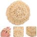 Shop Minkissy 3pcs Cleaning Bath Ball Loofah - Exfoliating Sponge Set for Ultimate Shower Experience - Buy Online on GoSupps.com