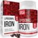 Liposomal Fe Iron Supplement for Women 65 mg Iron Supplements with Folic Acid & Vitamin B12 for Men Red Blood Cell Production Energy Support for Adults Iron Deficiency 60 Softgels(1 Bottle) 60 Count (Pack of 1)