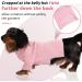Cozy Pink Dog Sweater for Small & Medium Breeds | Winter Roll Collar Knit for Chihuahua Dachshund & French Bulldog - Buy Online on GoSupps.com