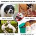 Dog Muzzle Soft Muzzle for Medium Dogs Mesh Muzzle for Dogs with Over-Head Strap Breathable Dog Muzzle with Reflective & Adjustable Strap to Prevent Biting Chewing Barking (M) - Buy Online on GoSupps.com