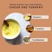 Ginger Turmeric Tea Organic 100g (50 Cups) | Intense Flavour 98% Ginger 1% Turmeric and Cardamom REPLANTEA - Buy Online on GoSupps.com