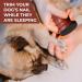 BEANPRECOY Dog Nail File with 8pcs Sandpaper Dog Nail Scratch Board Dog Nail Grinder Wooden Replaceable Sandpaper Dog Nail Trimmers for Polishing Cat and Dog Nails - Buy Online on GoSupps.com