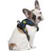 Littlearth NCAA Michigan Wolverines Pet Harness - Small, Team Color - Buy Online on GoSupps.com