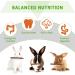 Fanshiontide 19 in 1 Bunny Chew Toys for Teeth - Rabbit Treats and Toys for Teeth - Timothy Hay Sticks, Loofah, Wood, Grass, Carrots, Corn - Ideal for Rabbit, Guinea Pig, Hamster, Chinchilla - Buy Online on GoSupps.com