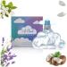 Soft Cloud Eau De Parfum for Women 90Ml Dreamy Fragrance with Lasting Impression Romantic Cloud Shaped with Notes of Lavender Coconut Vanilla & Pear - Best impression of Cloud Perfume