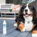 Mighty Mutt Natural Hypoallergenic Dog Shampoo & Conditioner - Anti-Itch, Soothing, Deodorizing (9oz) - Buy Online on GoSupps.com