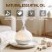 Coconut Essential Oil 4 Fl Oz and Jasmine Essential Oil 4 Fl Oz - Coconut & Jasmine Oil for Diffuser Aromatherapy Home Fragrance Skin & Hair Care DIY Candle & Soap Making Yoga - Buy Online on GoSupps.com