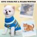 Warm Knitted Dog Sweater for Small Dogs - Cozy Roll Collar Winter Clothing | Soft Dog Clothes for Small & Medium Dogs & Cats - Buy Online on GoSupps.com