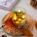 Tondiamo Succulent Cactus Candles | Scented Decorative Votive Candles for Home Weddings & Gifts | 3.15 inch Terrarium Plant Candles - Buy Online on GoSupps.com