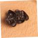 COOPHYA 15pcs Fake Vegetables Realistic Vegetables Faux Veggies Model Agarics Simulation Vegetables Agarics Props Lifelike Veggies Toy Decor Black Fungus Model Food Ornaments Pvc Dark Brown 5.00X4.20X1.00CM - Buy Online on GoSupps.com