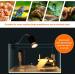 Buddypuppy Reptile Heat Lamp - 360 Rotatable Hose, Timed Heating & 2 Bulbs - Ideal for Bearded Dragons, Turtles, Lizards, Snakes - 25w/50w Bulb - Buy Online on GoSupps.com